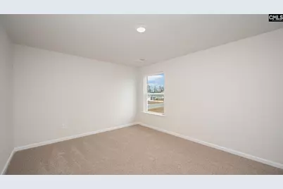 208 Livingston Woods Drive, Irmo, SC 29063 - Photo 23