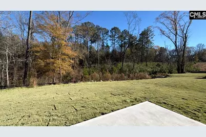 208 Livingston Woods Drive, Irmo, SC 29063 - Photo 27
