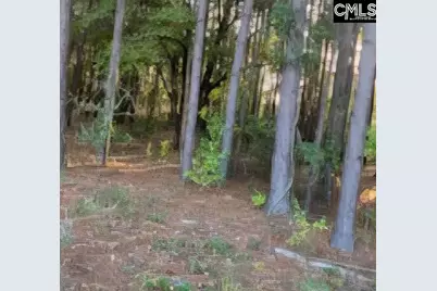 35 Simmons Dr., Camden, SC 29020 - Photo 5