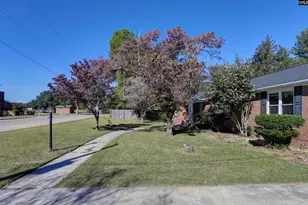 729 Magnolia St, Pelion, SC 29123 - Photo 11