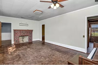 729 Magnolia Street, Pelion, SC 29123 - Photo 3