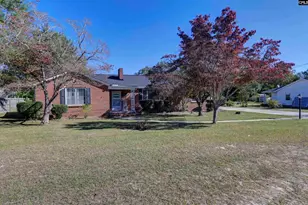 729 Magnolia St, Pelion, SC 29123 - Photo 9