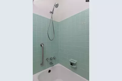 729 Magnolia Street, Pelion, SC 29123 - Photo 53