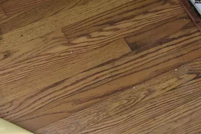 103 Hutto Court, Columbia, SC 29204 - Photo 17