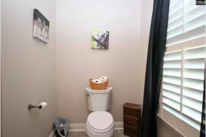 225 Pisgah Court, Lexington, SC 29072 - Photo 35