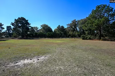 225 Pisgah Court, Lexington, SC 29072 - Photo 59