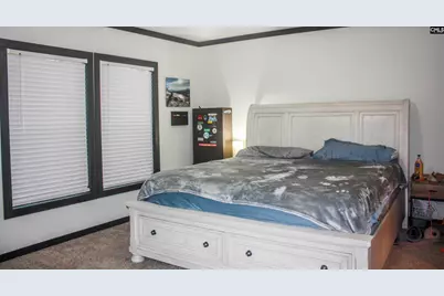 264 Willis Road, Ridge Spring, SC 29129 - Photo 13