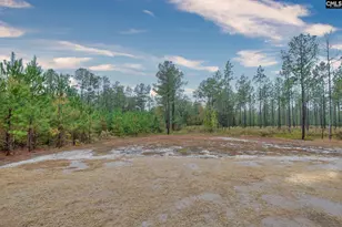 1023 Mt Zion Rd, Camden, SC 29020 - Photo 47