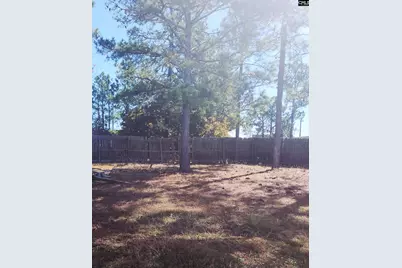 19 Barnley Court, Columbia, SC 29229 - Photo 17