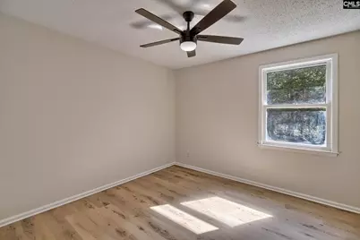 225 Connie Wright Road, Irmo, SC 29063 - Photo 21