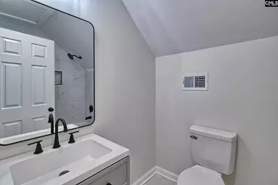 225 Connie Wright Road, Irmo, SC 29063 - Photo 29