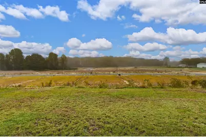 1467 Native Garden Road, Gilbert, SC 29054 - Photo 35