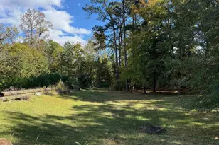 55 Holly Ridge Ln, West Columbia, SC 29169 - Photo 5