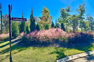 417 Craftsman Ct, Lexington, SC 29072 - Photo 1