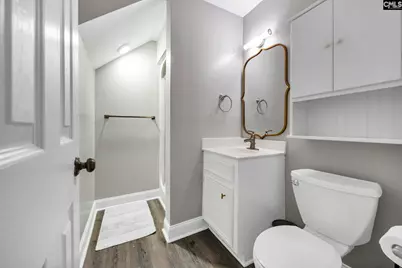 132 Killian Point Circle, Chapin, SC 29036 - Photo 59