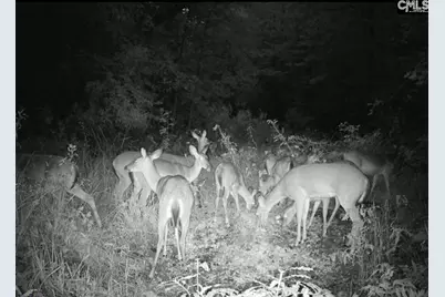 Brookhill East, Lexington, SC 29072 - Photo 29