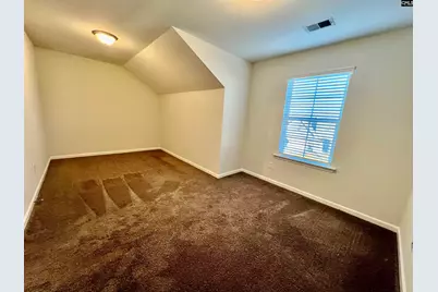 1351 Tamarind Lane, Chapin, SC 29036 - Photo 21