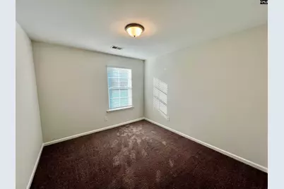 1351 Tamarind Lane, Chapin, SC 29036 - Photo 15