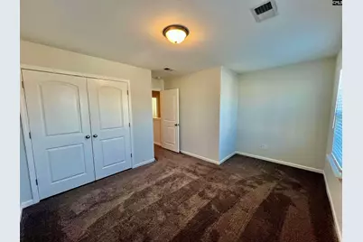 1351 Tamarind Lane, Chapin, SC 29036 - Photo 19