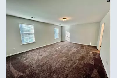 1351 Tamarind Lane, Chapin, SC 29036 - Photo 11