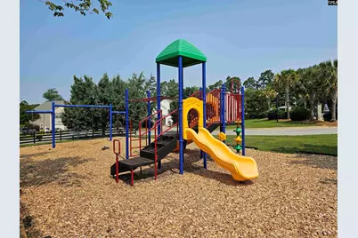 131 Richmond Farm Circle, Lexington, SC 29072 - Photo 35