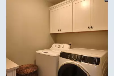 13 Botticelli Court, Chapin, SC 29036 - Photo 45