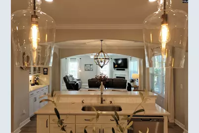 13 Botticelli Court, Chapin, SC 29036 - Photo 21