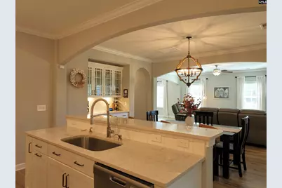 13 Botticelli Court, Chapin, SC 29036 - Photo 19