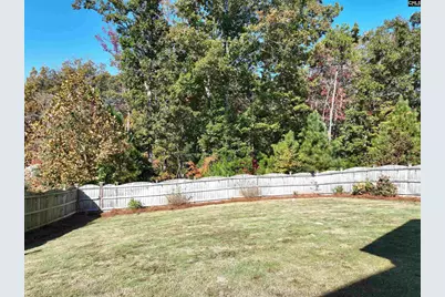 13 Botticelli Court, Chapin, SC 29036 - Photo 47