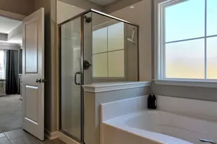 13 Botticelli Ct, Chapin, SC 29036 - Photo 31