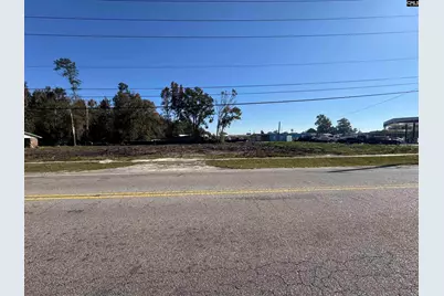 208 Mitchell Street, Batesburg, SC 29006 - Photo 1