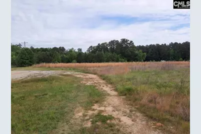 177 Thomas Griffin Road, Newberry, SC 29108 - Photo 3