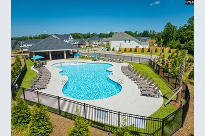 2351 Hadley Crossing, Chapin, SC 29036 - Photo 55