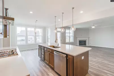 2351 Hadley Crossing, Chapin, SC 29036 - Photo 17