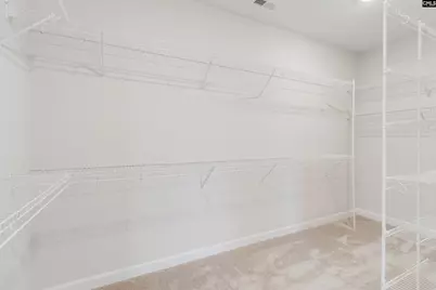 2351 Hadley Crossing, Chapin, SC 29036 - Photo 25