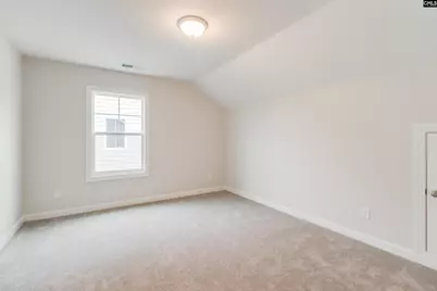 2351 Hadley Crossing, Chapin, SC 29036 - Photo 31