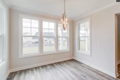 2351 Hadley Crossing, Chapin, SC 29036 - Photo 13