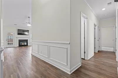 509 Malachite Lane, Chapin, SC 29036 - Photo 3