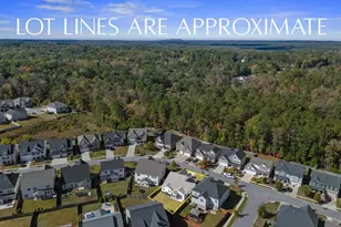 509 Malachite Ln, Chapin, SC 29036 - Photo 37