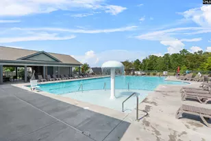 509 Malachite Ln, Chapin, SC 29036 - Photo 41