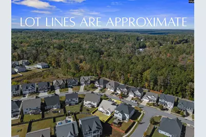 509 Malachite Lane, Chapin, SC 29036 - Photo 35