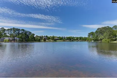 205 Cypress Ridge, Columbia, SC 29229 - Photo 47