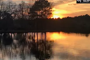 205 Cypress Ridge, Columbia, SC 29229 - Photo 53