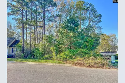 313 Downs Drive, Columbia, SC 29209 - Photo 1