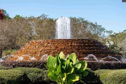 905 Knowles Loop, Columbia, SC 29229 - Photo 7