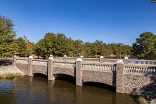 905 Knowles Loop, Columbia, SC 29229 - Photo 53