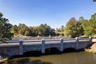 905 Knowles Loop, Columbia, SC 29229 - Photo 61