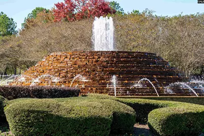 905 Knowles Loop, Columbia, SC 29229 - Photo 55