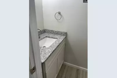 153 Lionsgate Drive, Columbia, SC 29223 - Photo 21