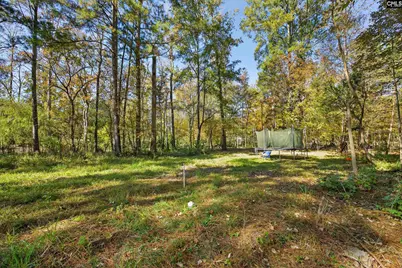 349 Bent Oak Drive, Chapin, SC 29036 - Photo 57